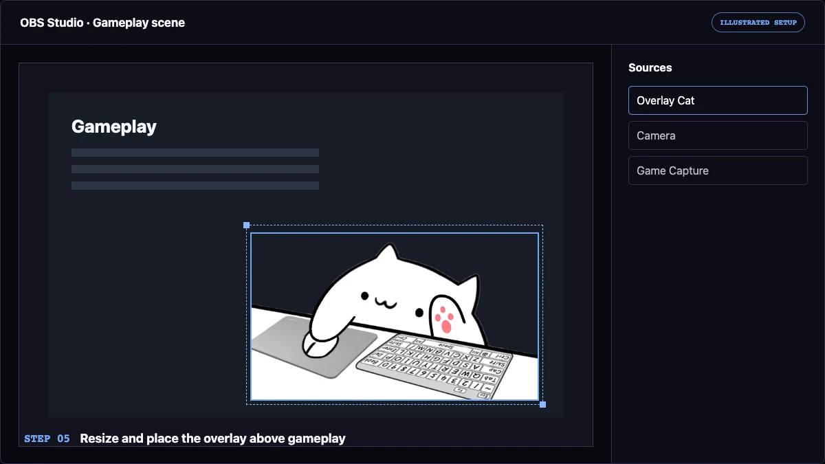Illustrated OBS scene with a Bongo Cat overlay positioned above gameplay
